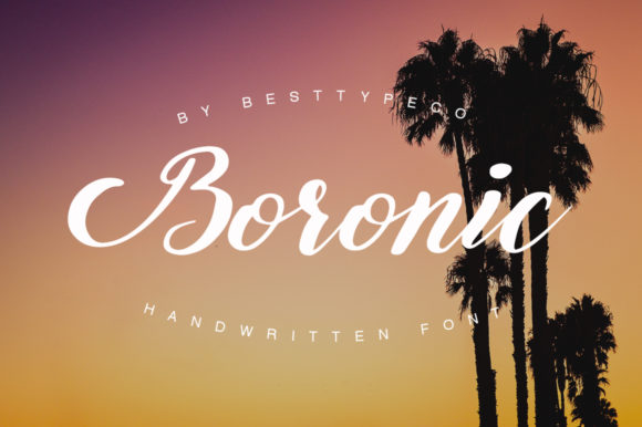 Boronic: A Versatile Font for Creative Campaigns