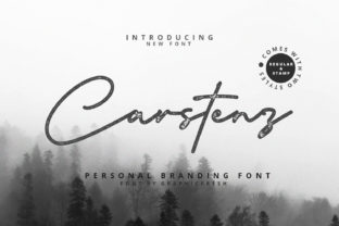 Carstenz: A Modern Script Font for Bold Campaigns