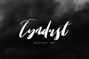 Typography That Speaks: A Review of Tyndust for Campaign Design
