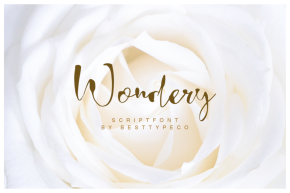 Wondery: The Perfect Font for Building a Memorable Brand
